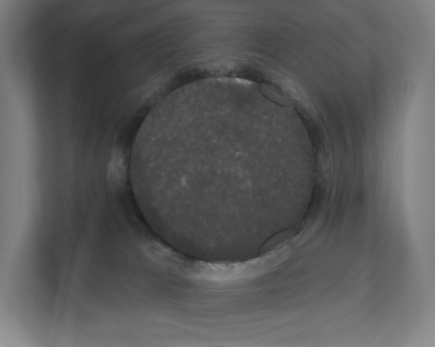 X0000111440037200908101023