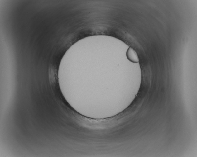 X0000111440038200908101023