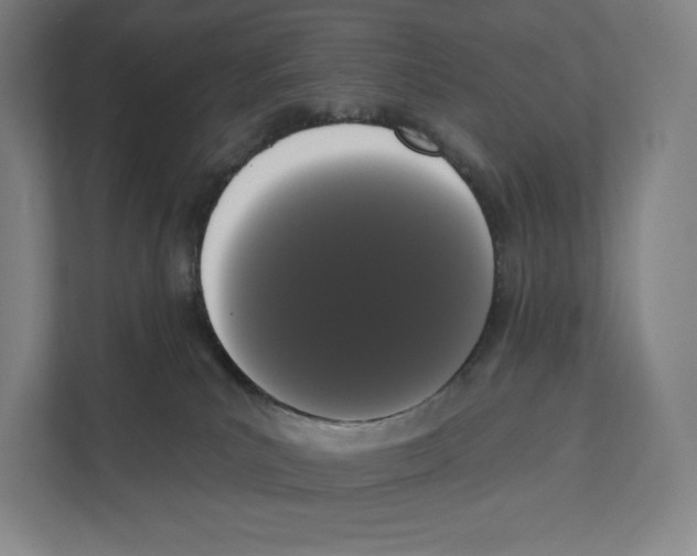 X0000111440039200908101023