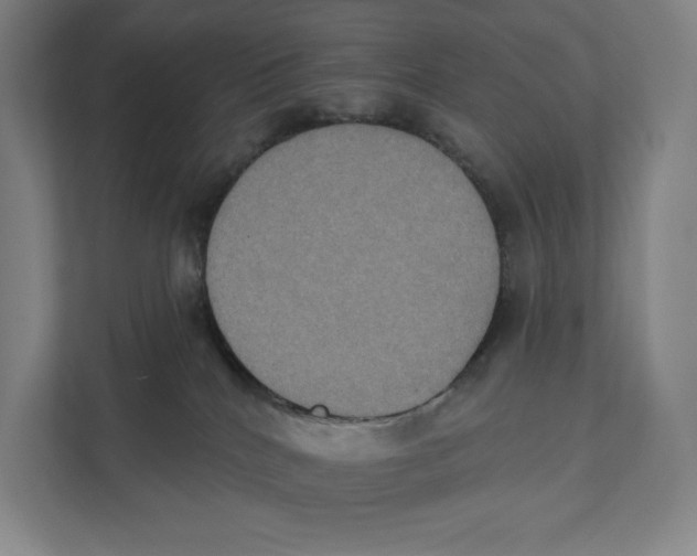 X0000111440040200908101023