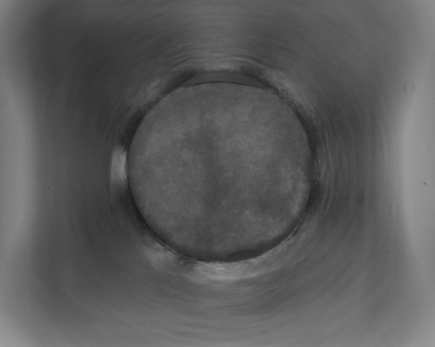 X0000111440041200908101023