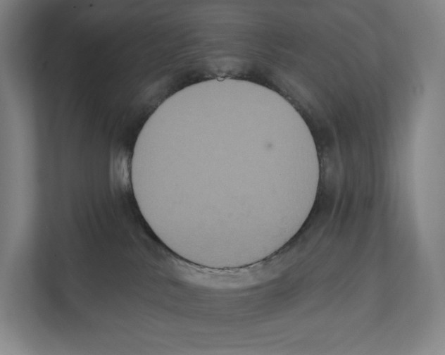 X0000111440042200908101023