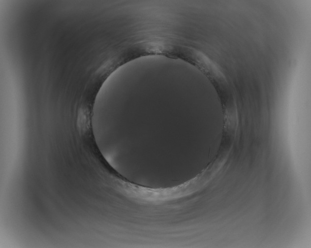 X0000111440043200908101023