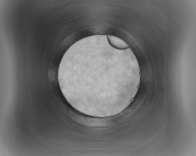 X0000111440044200908101023