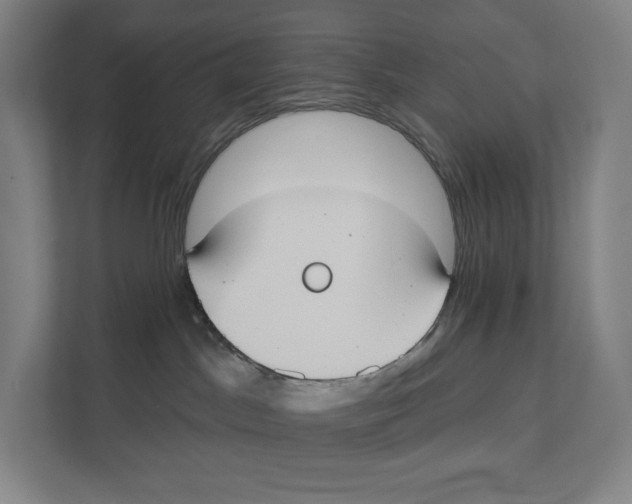 X0000111440045200908101023