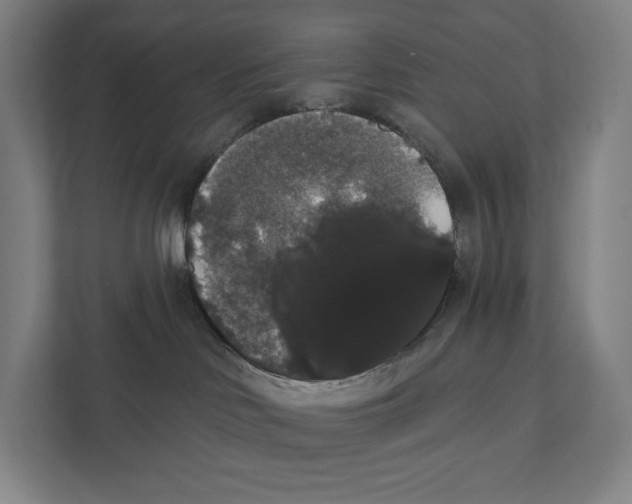 X0000111440046200908101023