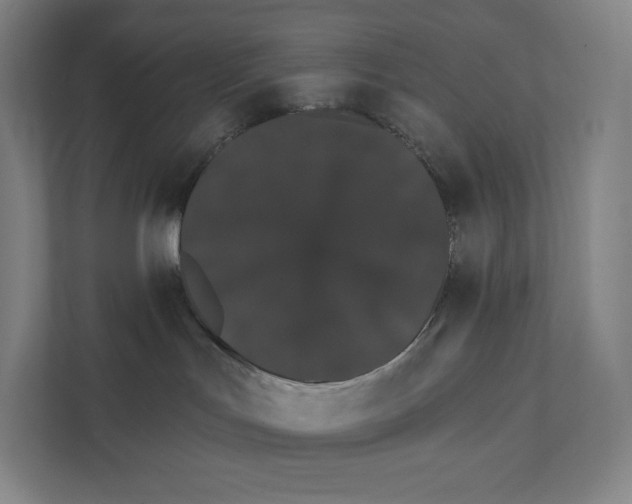 X0000111440047200908101023