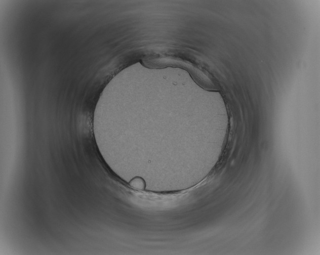 X0000111440048200908101023