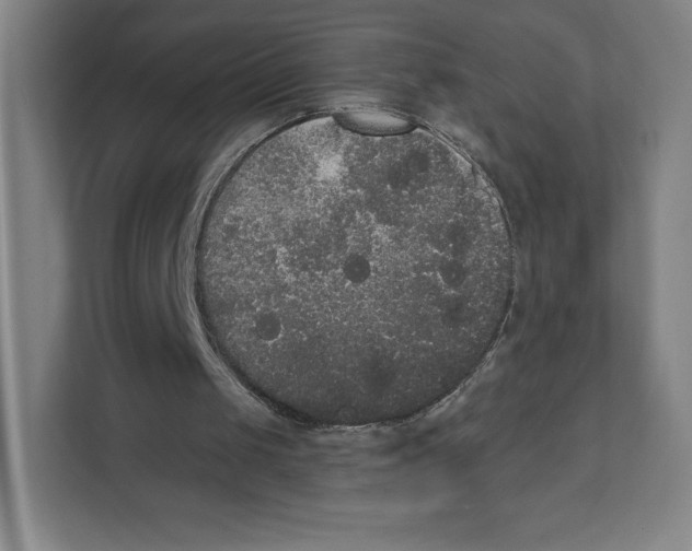 X0000111440049200908101022