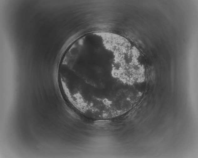 X0000111440051200908101022