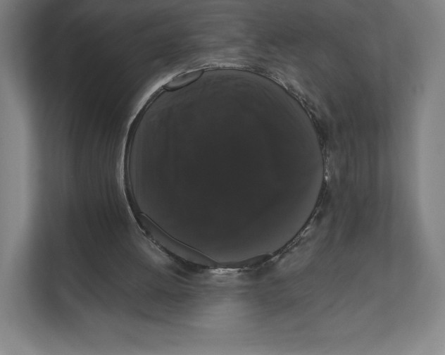 X0000111440052200908101023