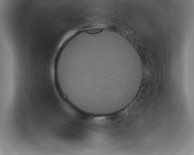 X0000111440054200908101023