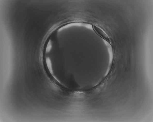 X0000111440055200908101023