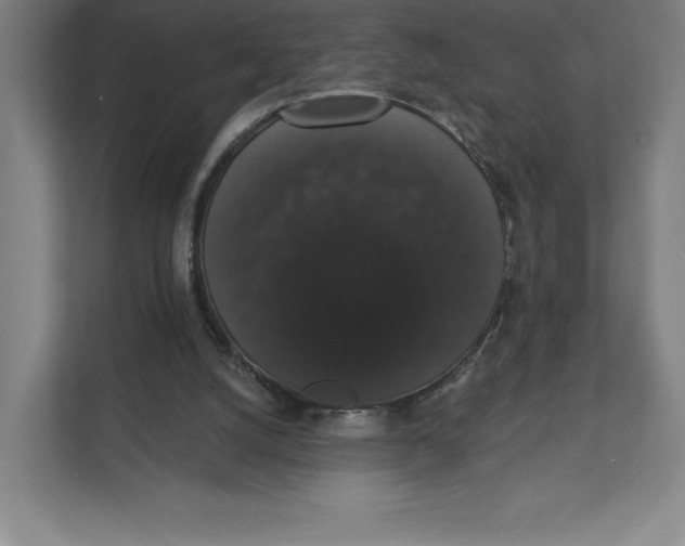 X0000111440056200908101023