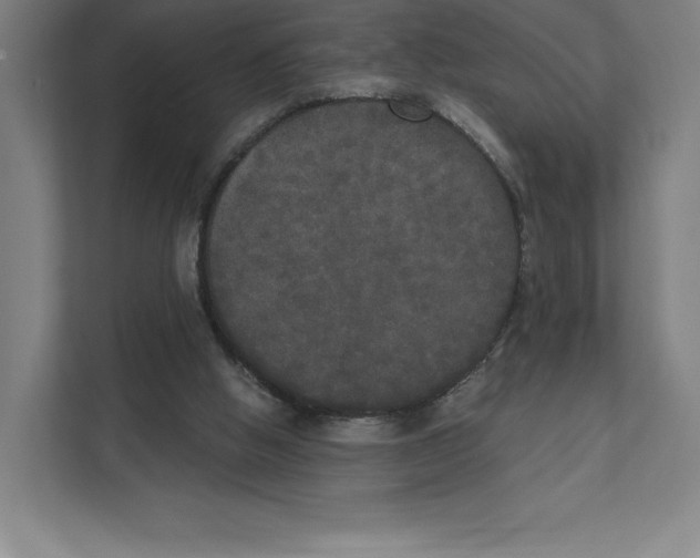 X0000111440058200908101023