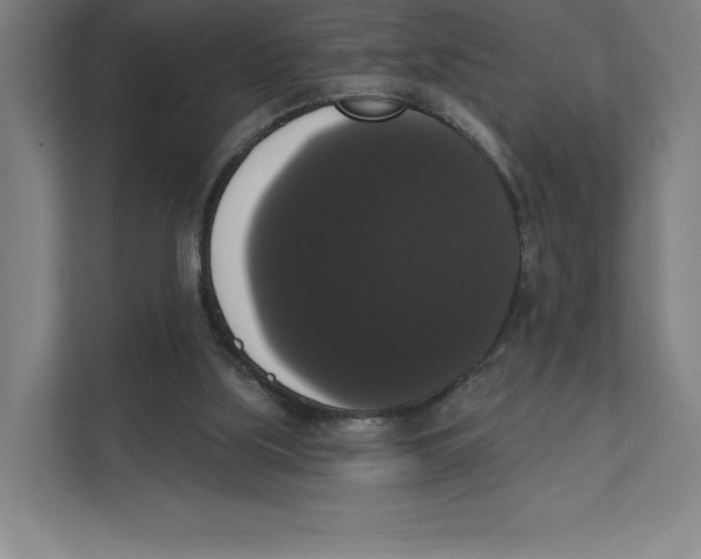 X0000111440059200908101023