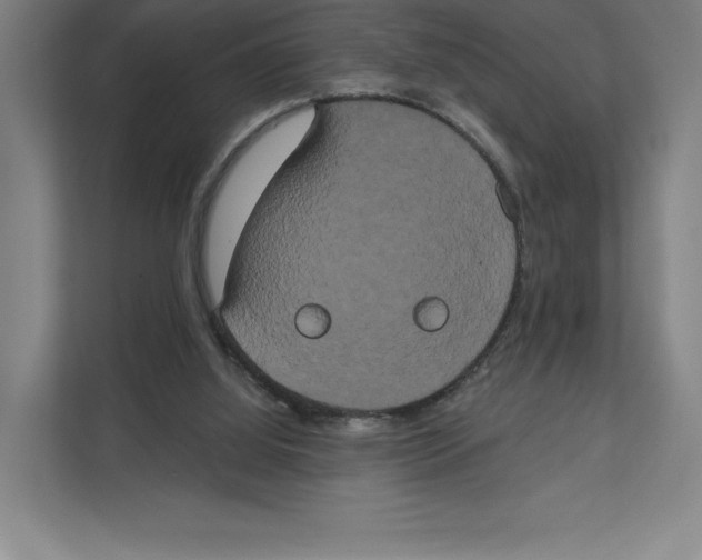 X0000111440060200908101023