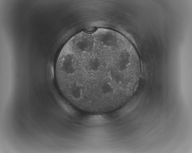 X0000111440061200908101023