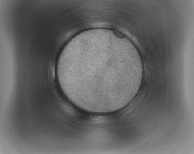 X0000111440062200908101023