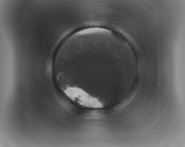 X0000111440064200908101023