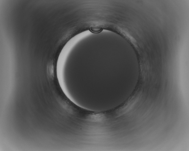 X0000111440067200908101023