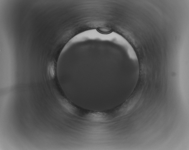 X0000111440069200908101023