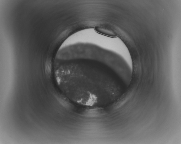 X0000111440072200908101023