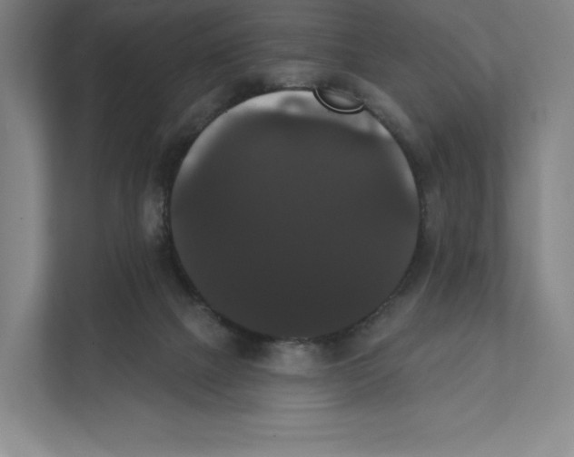 X0000111440073200908101023