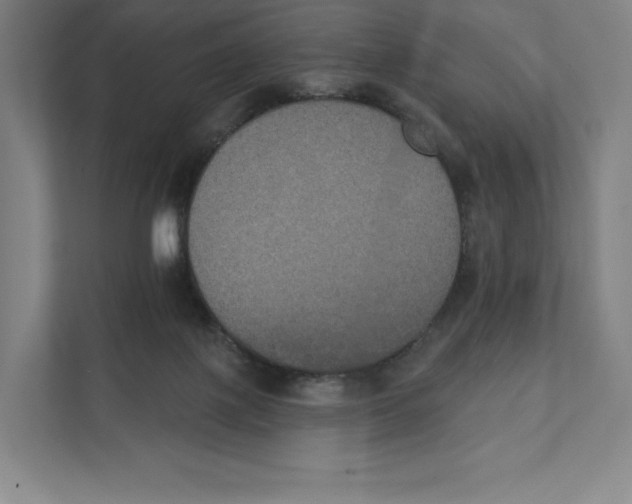 X0000111440075200908101023