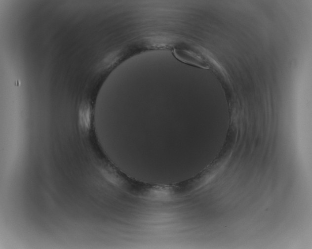 X0000111440076200908101023