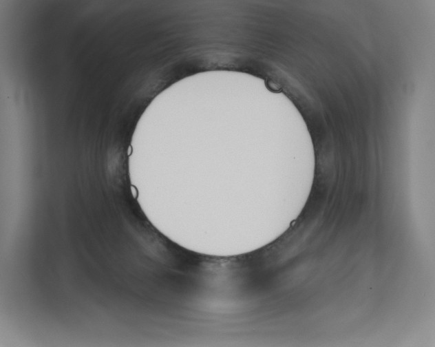 X0000111440079200908101023