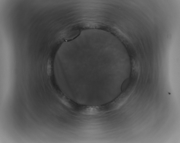 X0000111440080200908101023