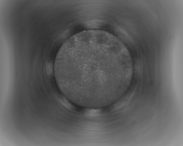 X0000111440081200908101023