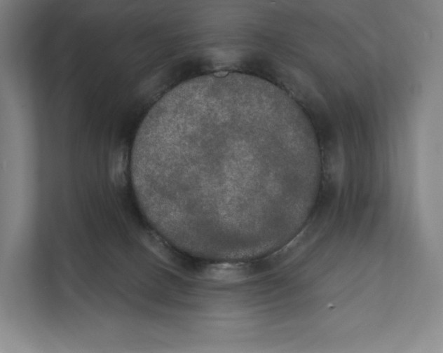 X0000111440082200908101023