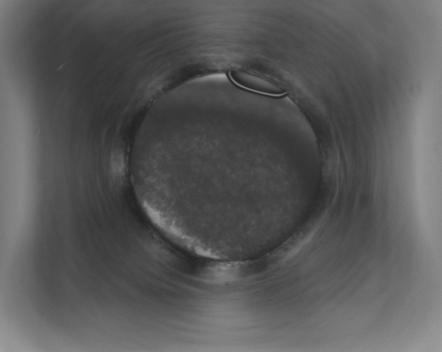 X0000111440084200908101023