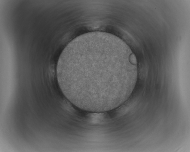 X0000111440085200908101023