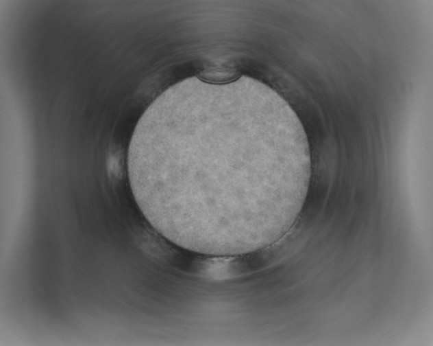 X0000111440090200908101023