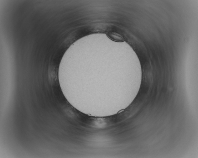 X0000111440091200908101023