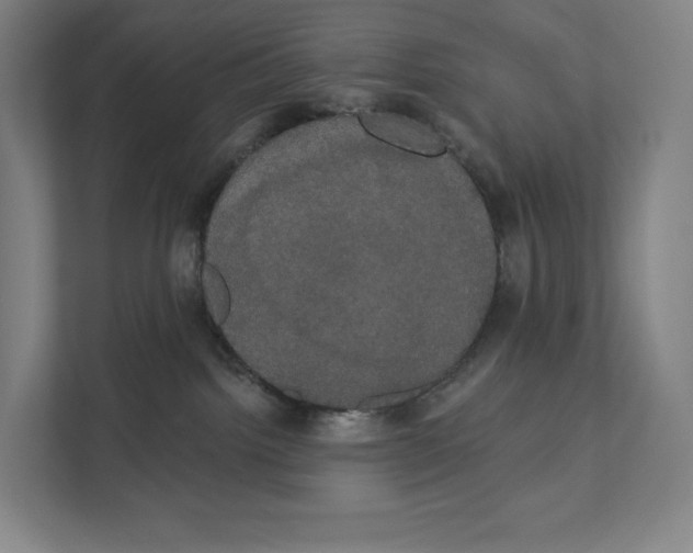 X0000111440092200908101023