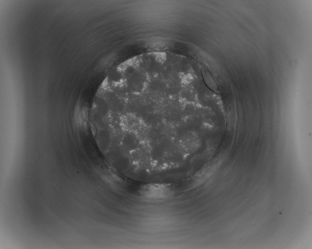 X0000111440093200908101023