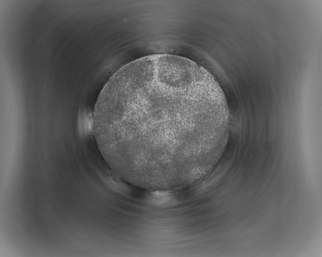 X0000111440095200908101023