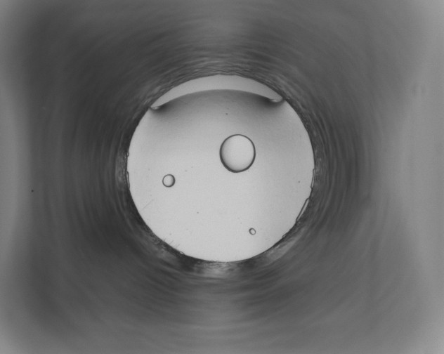 X0000111440096200908101023