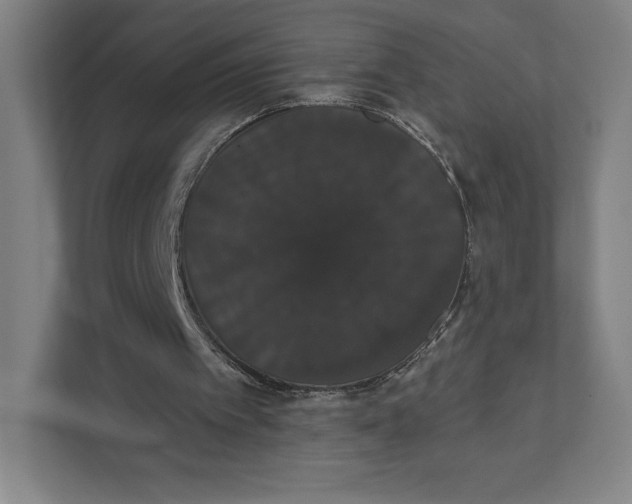 X0000111440097200908101022