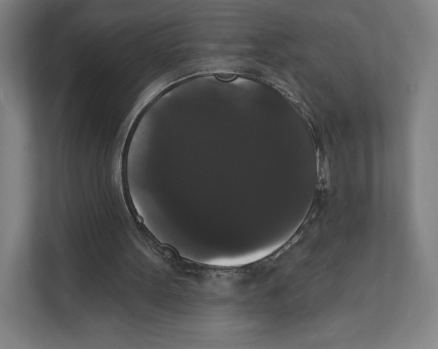 X0000111440099200908101022