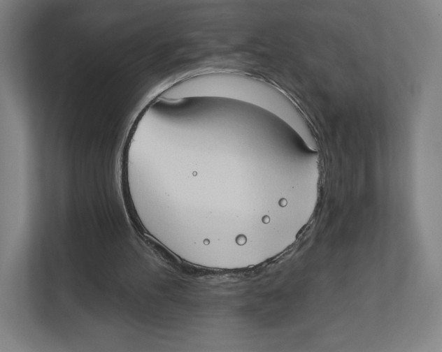 X0000111440100200908101022