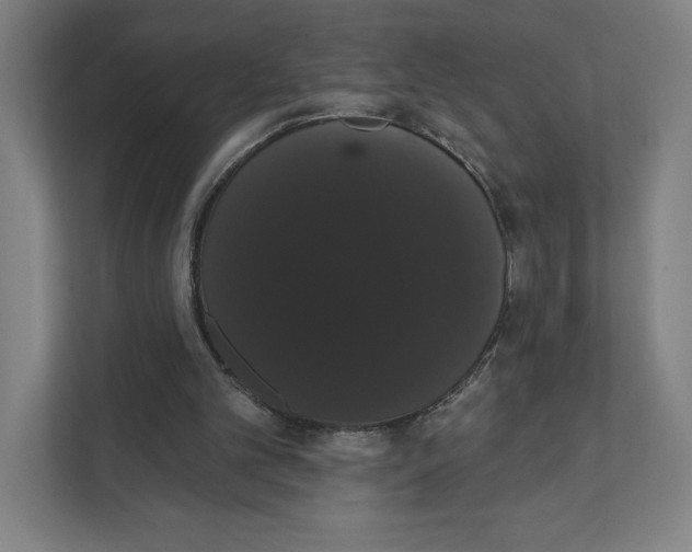 X0000111440101200908101022