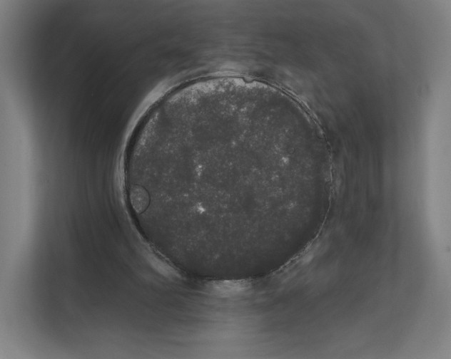 X0000111440102200908101022