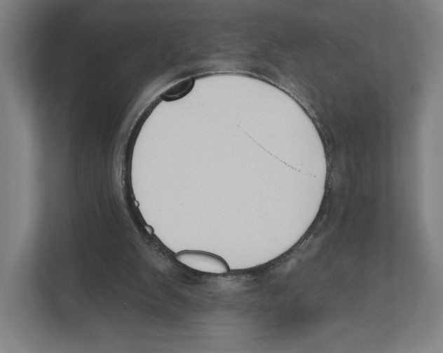 X0000111440103200908101022