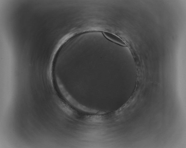 X0000111440104200908101022