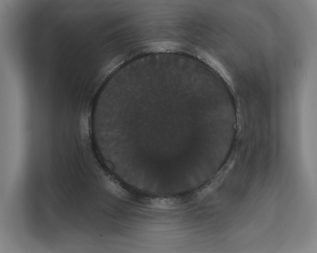 X0000111440105200908101022